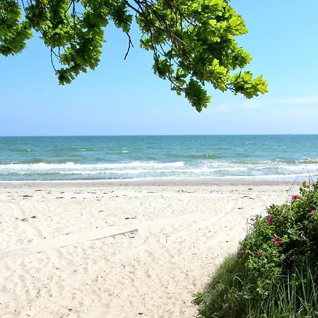 Strandnahe Mit Terrasse, Gratis Nutzung Vom Ahoi Erlebnisbad Und Sauna In Sellin - Rex Rugia 28-3 Apartamento *