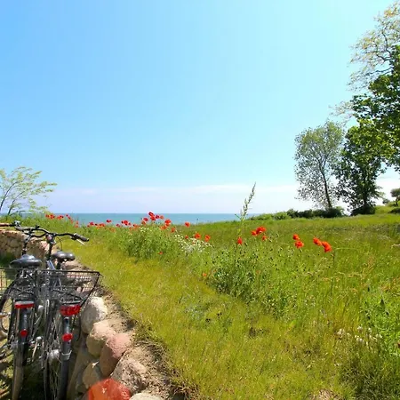 Apartamento Strandnahe Mit Terrasse, Gratis Nutzung Vom Ahoi Erlebnisbad Und Sauna In Sellin - Rex Rugia 28-3