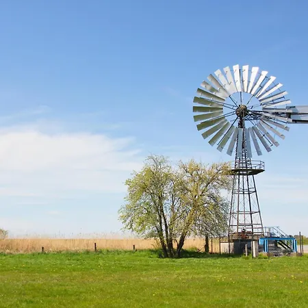 Strandnahe Mit Terrasse, Gratis Nutzung Vom Ahoi Erlebnisbad Und Sauna In Sellin - Rex Rugia 28-3