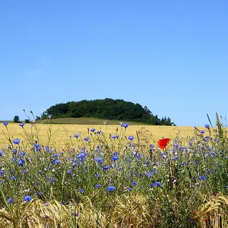 Strandnahe Mit Terrasse, Gratis Nutzung Vom Ahoi Erlebnisbad Und Sauna In Sellin - Rex Rugia 28-3 Apartamento