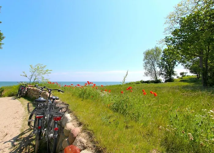 Appartamento Strandnahe Mit Terrasse, Gratis Nutzung Vom Ahoi Erlebnisbad Und Sauna In Sellin - Rex Rugia 28-3