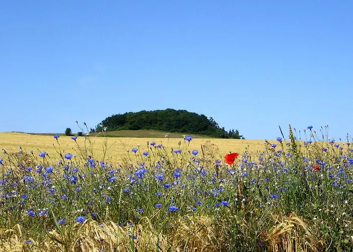 Strandnahe Mit Terrasse, Gratis Nutzung Vom Ahoi Erlebnisbad Und Sauna In Sellin - Rex Rugia 28-3 Appartamento